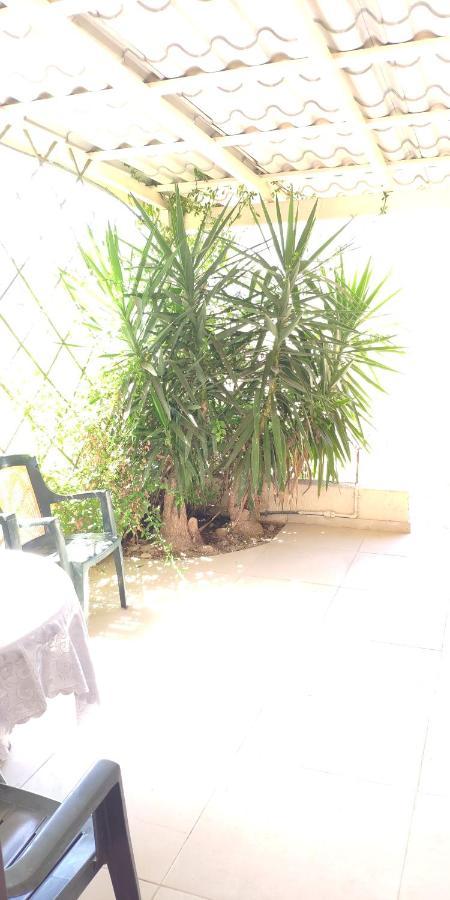 הוילה Paphos Isabella Townhouse מראה חיצוני תמונה